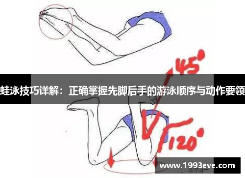 蛙泳技巧详解:正确掌握先脚后手的游泳顺序与动作要领